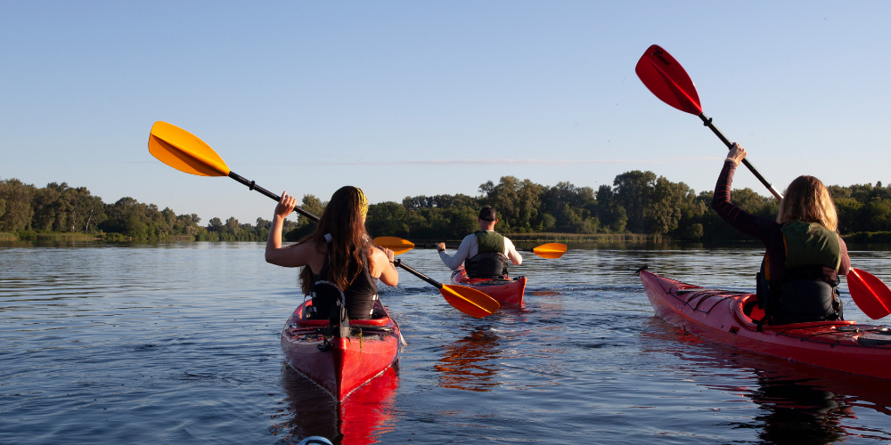 kayak paddle